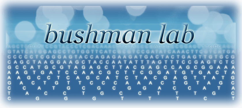 webfrontendbushmanlab